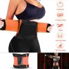 Fresh Fab Finds U-Shaped Slimming Waist Belt Shapewear Tummy Cincher for Women Postpartum