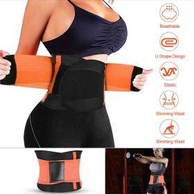 Fresh Fab Finds U-Shaped Slimming Waist Belt Shapewear Tummy Cincher for Women Postpartum
